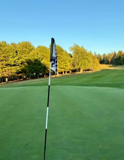 8B27A0B3 C7C8 4DB9 B322 9A56E55D72DC