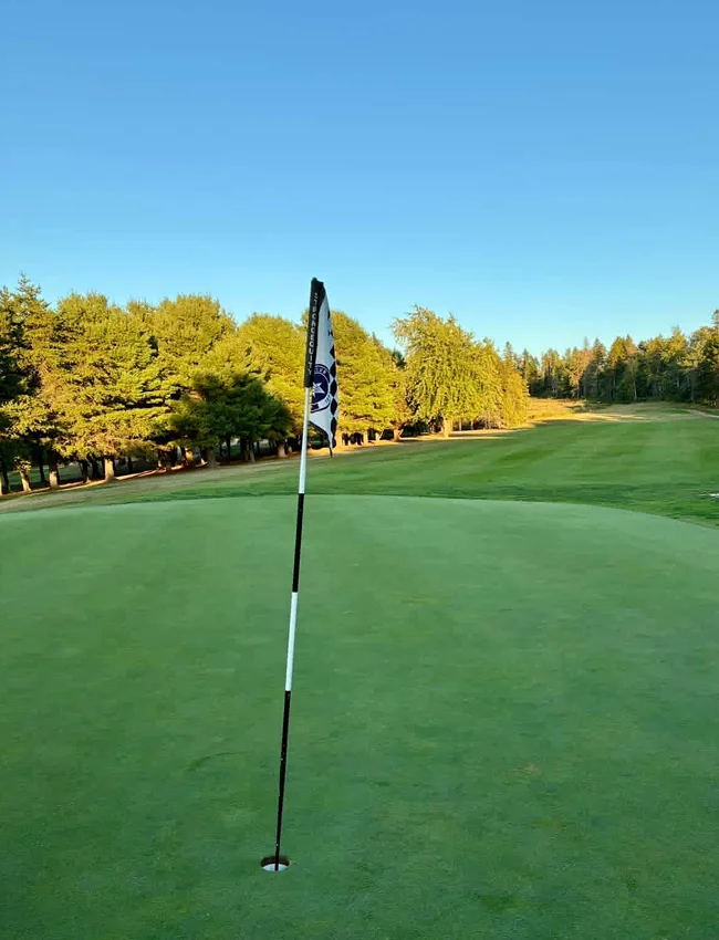 8B27A0B3 C7C8 4DB9 B322 9A56E55D72DC